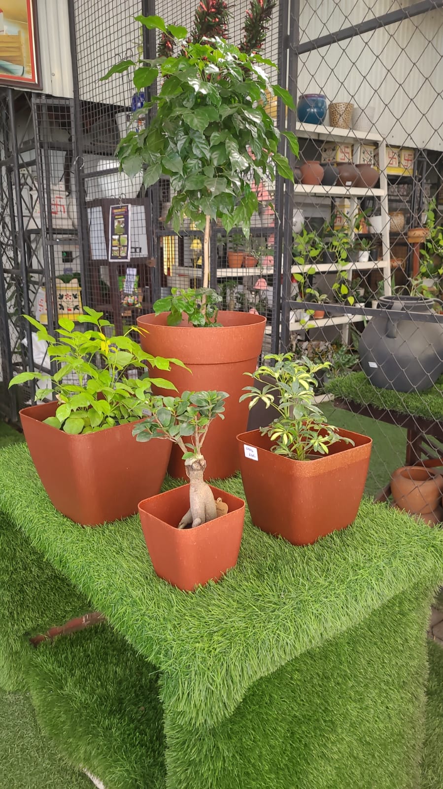 Malika Agro Gardens