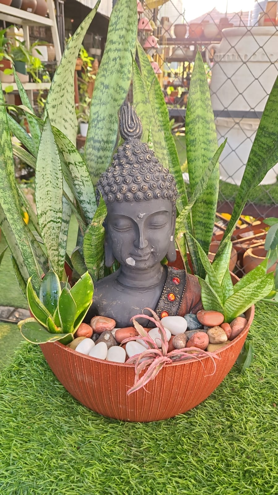 Malika Agro Gardens